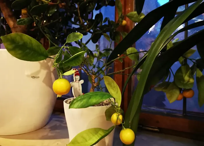 Hotell China Restaurant Lotus Rothenburg ob der Tauber