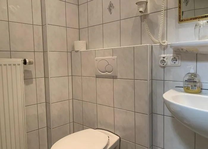 China Restaurant Lotus Rothenburg ob der Tauber